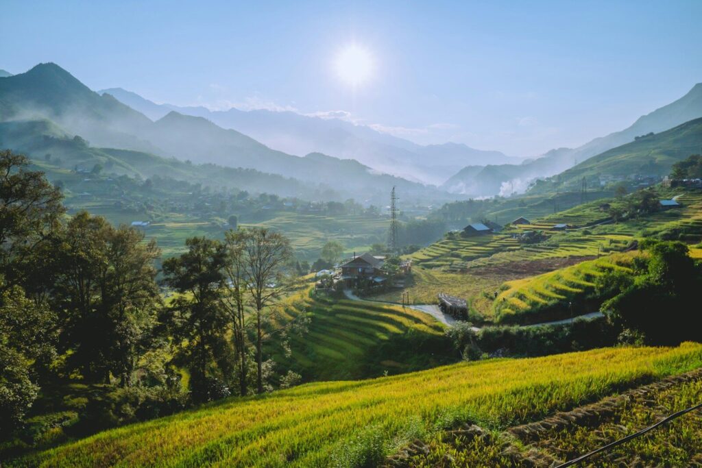 a lush green hillside covered in lush green grass